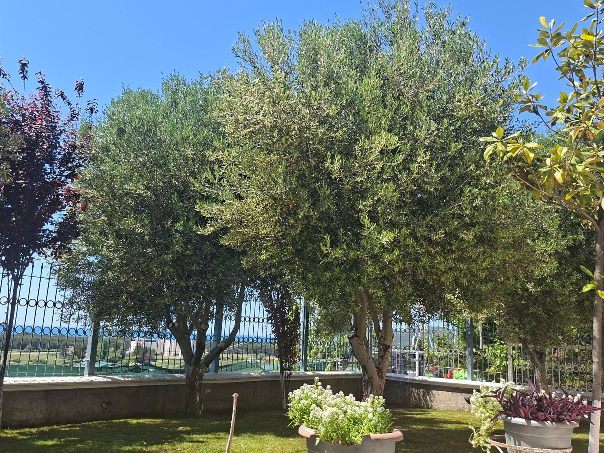 Villa Luiss Panorama Durrës Exterior foto